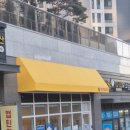 제스모나이트 다육이 화분 단체 출강 후기