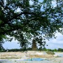 미륵사지 이미지