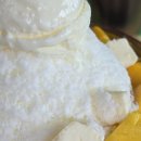 1637 | 강릉 주문진 1637 카페 눈꽃빙수 우유 빙수 부드럽고 맛있는 망고빙수