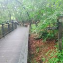 호암약수터 이미지