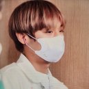 데이리에 이미지