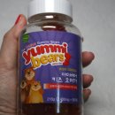 야미베어 이미지