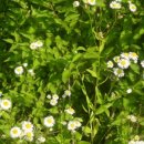 우리마을 이미지