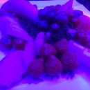 오케이노래방 이미지