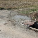 당곡농장 이미지