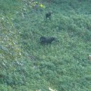 백련산농장 이미지