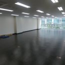 성지스타위드 이미지