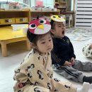 포르르 이미지