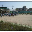 석정초병설유치원 이미지