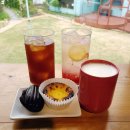 김제카인테리어 | 전주 근교 애견 동반 카페, 초록빛 정원이 예쁜 우석대 카페 차스타임(Cafe Char's Time)