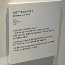 인간+자연 | 엘리자베스 랭그리터 전시 후기 - 인간은 원래 자연 속에 존재해야 할지도