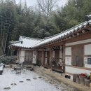 다도숲으로민박