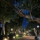 더사우나(The sauna) 이미지