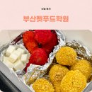부산펫푸드학원 애견카페창업을 위한 수제애견간식클래스 후기