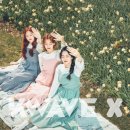 세자매 - 부평구 마장로 362 | 세자매
