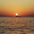 살롱드퍼피 이미지