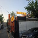 이모네포차 | 역삼동 노포 실내포차 역삼역 술집 경복 이모네포차 내돈내산 후기