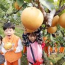 문배농장 이미지