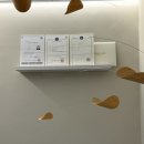 이룸 | 광주 쌍촌동 속눈썹펌 잘하는 곳 | 브로우이룸 노글루펌 후기