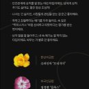 차고치기 좋은날 이미지