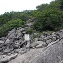 굴평전 Daum카페