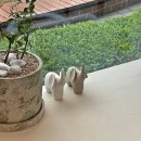 동경헤어 이미지