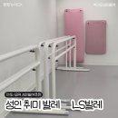 발레 | 마포 공덕 성인 취미 발레 엘에스발레 추천 후기