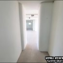 신사동-20 이미지