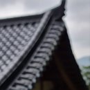 솔방민박 이미지