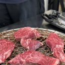 이-숯드림 이미지