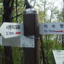 여흥목장 Daum카페