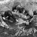 단양팔경(춘천) 이미지