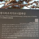 심광사 목조석가모니불좌상 이미지