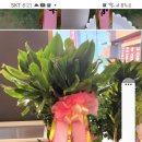 대장금 축산