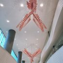 운도냉동설비 | 2026 서울카페위크 코엑스 마곡 입장료 재입장과 커피 박람회 후기