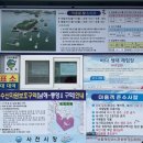 비토어촌계 이미지