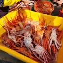 강구시장 이미지