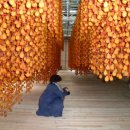 사랑곶감농원