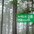 경포 관광안내소 이미지