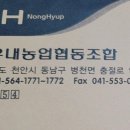 동산3리 이미지