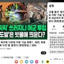 '오물 풍선' 질리니 폭우에 '나뭇잎 지뢰' 기습 방류?...북한, 폭염 속 여군까지 투입해 '수만 발' 묻었다 이미지