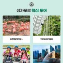 빛깔 이미지