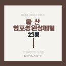 염포집
