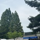 둥지별곡 | 천안성환 야외바베큐 캠핑식당 고기맛집 [둥지별곡]