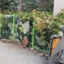 위촌1리 이미지