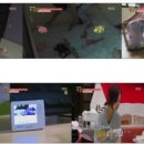 베이비쿠 이미지