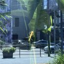 [언제든학교]여행의 정수: 홍콩영화 OST | 온다 온다 하다가 4개월이 흘렀네