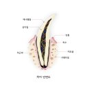 다나을동물병원 네이버블로그