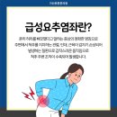 바로튼튼정형외과의원 이미지