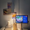 스페샬 | [신촌 이자카야 맛집] 스페샬나잇트 본점 후기 | 모츠나베·야끼소바·하이볼까지 완벽했던 밤